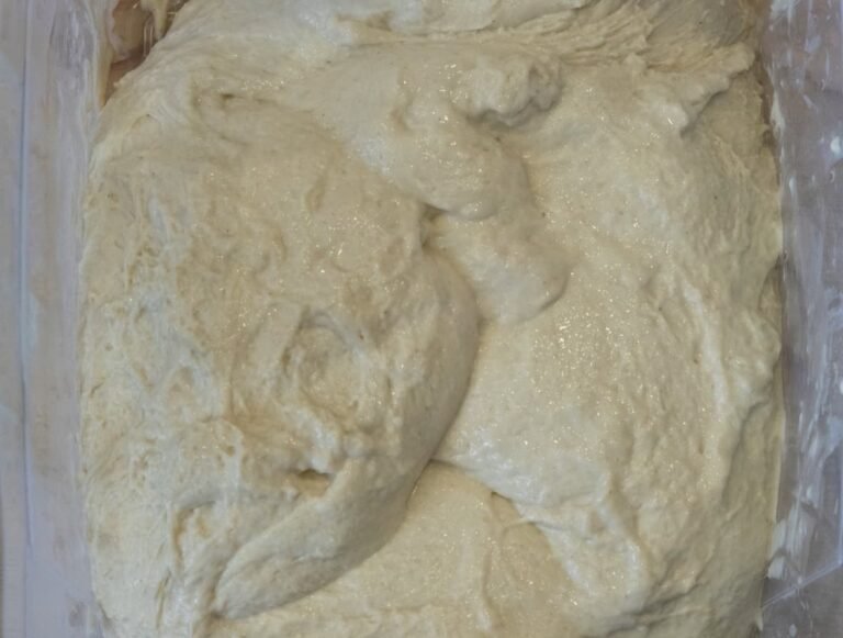 How to Autolyse Pizza Dough My Experience