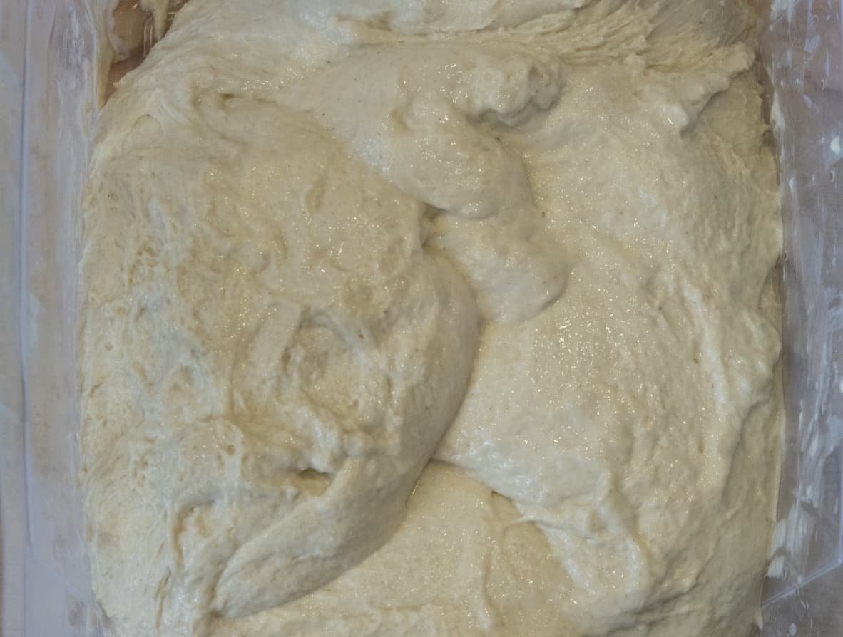 Image showcasing How to Autolyse Pizza Dough- My Experience