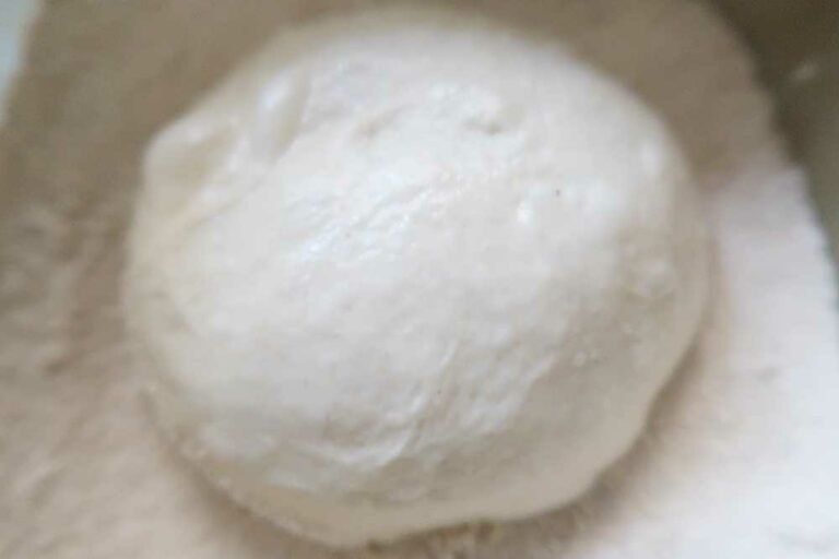 How to Autolyse Pizza Dough 70 Percent Hydration